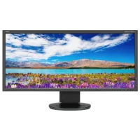 Монитор NEC MultiSync EA294WMi фото 1